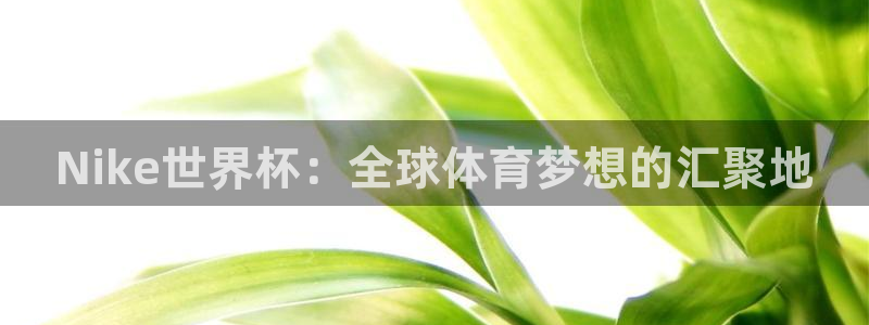 世界杯球队排名:Nike世界杯:全球体育梦想的汇聚地