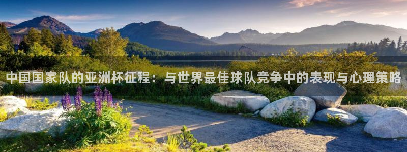 2026世界杯欧洲预选赛赛程表:中国国家队的亚洲杯征程:与世界最佳球队竞争中的表现与心理策略