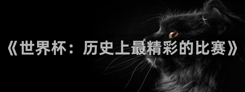 足球比分直播世界杯:《世界杯:历史上最精彩的比赛》