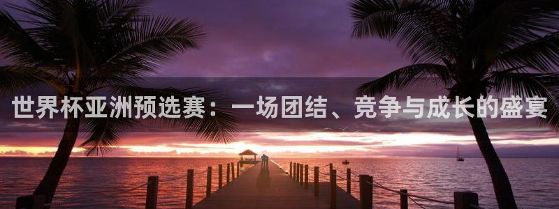 预选赛世界杯:世界杯亚洲预选赛:一场团结、竞争与成长的盛宴
