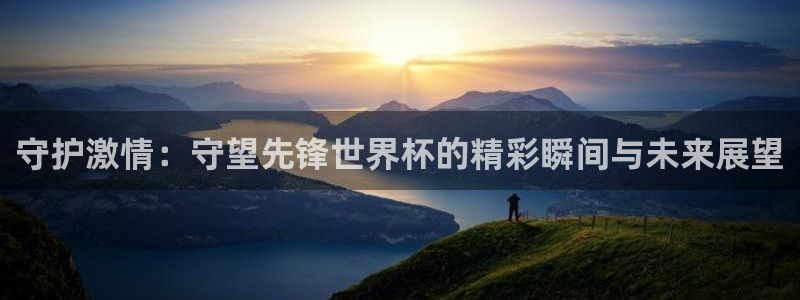 2006年世界杯冠军:守护激情:守望先锋世界杯的精彩瞬间与未来展望