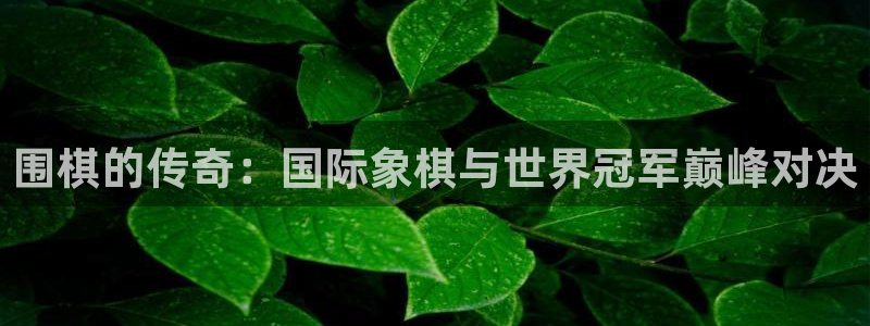 世界杯足球比赛:围棋的传奇:国际象棋与世界冠军巅峰对决